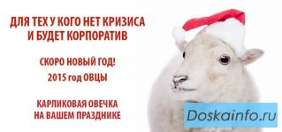 Фото и видеосъемка в СПб