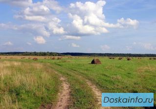 Участок 27 сот. (СНТ, ДНП)