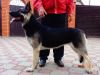 Уменьшенная картинка