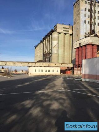 Услуги аренды                        элеватора
