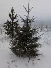 Уменьшенная картинка