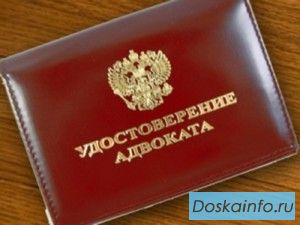 Адвокат по гражданским и уголовным делам.