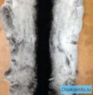 Шкурки кролика Рекс