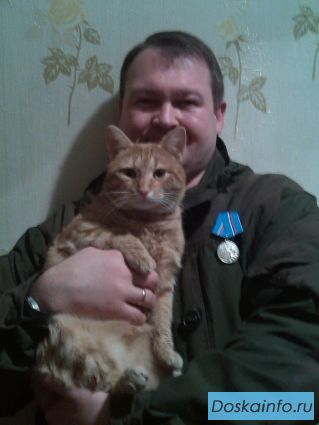 Пропал кот.