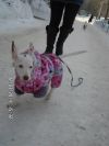 Уменьшенная картинка