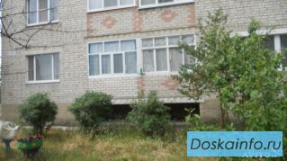 Сдаю квартиру