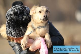 Лиза-молоденькая изящная леди ищет добрые руки!!!