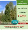 Уменьшенная картинка
