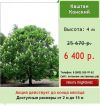 Уменьшенная картинка
