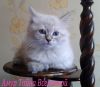 Уменьшенная картинка