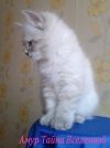 Уменьшенная картинка