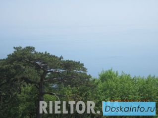 Земельный участок г. Ялта ул. Авроры площадь 0,1 га. 