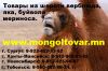 Уменьшенная картинка