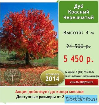Лиственные         Деревья.   Скидка 70%!