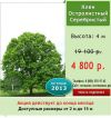 Уменьшенная картинка