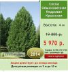 Крупномеры      Хвойных    Деревьев. Скидка 70%!