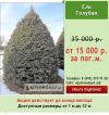 Уменьшенная картинка