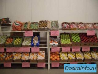 Фрукты    и        овощи    оптом
