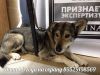 Уменьшенная картинка