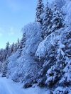 Уменьшенная картинка