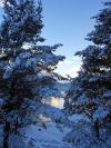 Уменьшенная картинка