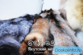 Шкуры полярного волка, рыси, лисы и многое другое