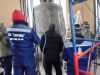 Уменьшенная картинка