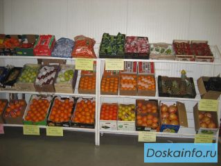 Продажа фруктов и овощей круглый год. Опт