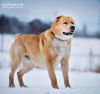 Уменьшенная картинка