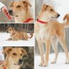 Уменьшенная картинка