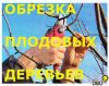 Предлагаем услуги по обрезке деревьев.