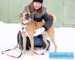 Джесси идеальная