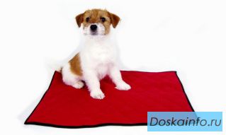 Многоразовые пеленки для домашних животных!