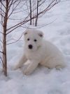 Уменьшенная картинка