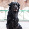 Уменьшенная картинка