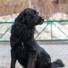 Уменьшенная картинка