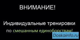 Индивидуальные        тренировки        по единоборствам.