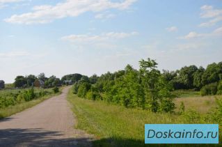 Куплю земельный участок от 1 Га в Подмосковье