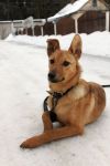 Уменьшенная картинка