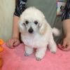 Уменьшенная картинка