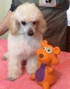 Уменьшенная картинка