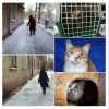 Уменьшенная картинка