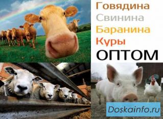 Говядина, Свинина, Баранина, Куры. Оптом