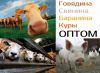 Уменьшенная картинка