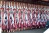 Уменьшенная картинка