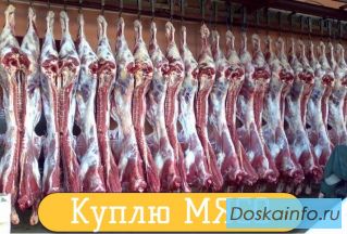 Куплю Мясо