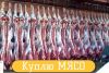 Уменьшенная картинка