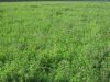Уменьшенная картинка
