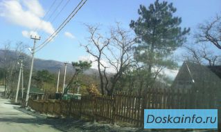 Продам участок лесного фонда