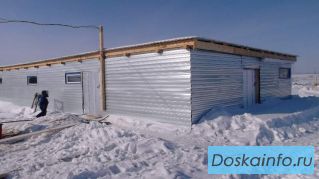 Ищу инвестора для разведения вьетнамских свиней